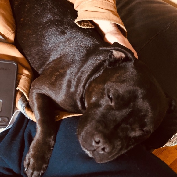 🆔 A little bit about me.. 🆔 - Picture 6 of 8